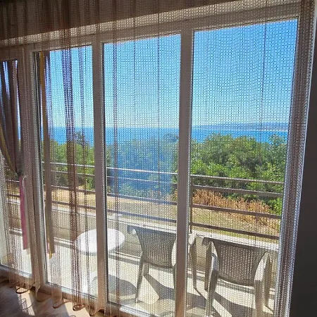 за гости гавань *