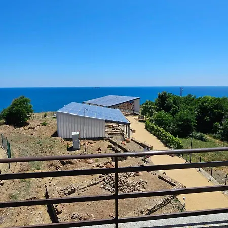 за гости гавань *