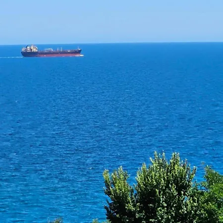 за гости гавань * ビャラ