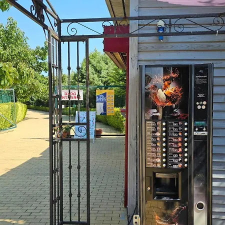 за гости гавань